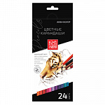 "Аква-колор" "Изостудия" IZO-CP24 Набор цветных карандашей заточенный 24 цв. – портал поставщиков НСППО