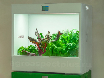 Агролаборатория ECOBOX ED – портал поставщиков НСППО - 1