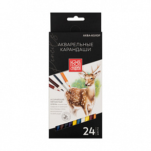 "Аква-колор" "Изостудия" IZO-WCP24 Набор акварельных карандашей заточенный 24 цв. – портал поставщиков НСППО - 1