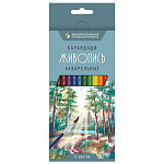 "ВКФ" "Живопись" JIV-WCP-1012 Набор акварельных карандашей заточенный 12 цв.