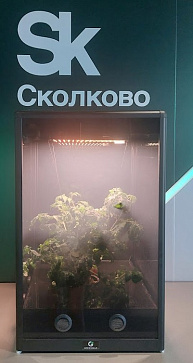 Умная теплица  ситиферма для рыращивания бонсай овощей и пряных трав  "Мажор" Greenbar  – портал поставщиков НСППО - 1