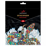 "VISTA-ARTISTA" "INTENSE" VICP-48 Набор цветных карандашей заточенный 48 цв.