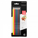 "Аква-колор" "Изостудия" IZO-WCP6B Набор акварельных карандашей заточенный 6 цв. – портал поставщиков НСППО
