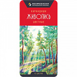 "ВКФ" "Живопись" JIV-CPM-1012 Набор цветных карандашей заточенный 12 цв. – портал поставщиков НСППО