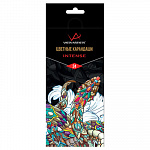 "VISTA-ARTISTA" "INTENSE" VICP-24 Набор цветных карандашей заточенный 24 цв.