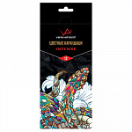 "VISTA-ARTISTA" "INTENSE" VICP-12 Набор цветных карандашей заточенный 12 цв. – портал поставщиков НСППО