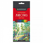 "ВКФ" "Живопись" JIV-CP-1024 Набор цветных карандашей заточенный 24 цв. – портал поставщиков НСППО