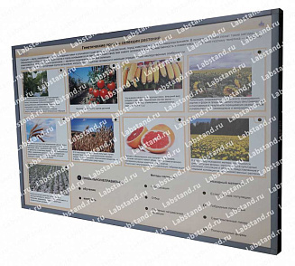 05.05.03.24 Стенд-планшет «Генетические основы селекции растений» – портал поставщиков НСППО - 1