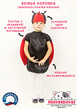 Божья коровка (шапочка + платье + крылья)
