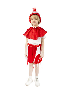 Тропическая рыбка мальчик (головной убор, накидка, шорты) – портал поставщиков НСППО - 1