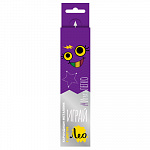 "Лео" "Играй" LGMCP-06 Набор трехгранных карандашей металлик заточенный 6 цв. – портал поставщиков НСППО