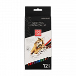 "Аква-колор" "Изостудия" IZO-CP12 Набор цветных карандашей заточенный 12 цв. – портал поставщиков НСППО