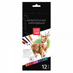 "Аква-колор" "Изостудия" IZO-WCP12 Набор акварельных карандашей заточенный 12 цв. – портал поставщиков НСППО