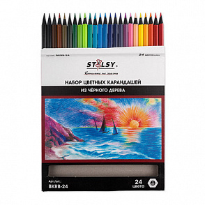 "STILSY" BKRB-24 Набор цветных карандашей из черного дерева 24 цв. – портал поставщиков НСППО - 1