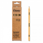 "FITEKO" RPA-01 Набор карандашей чернографитовых ассорти 12 шт.