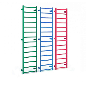 Шведская секция ЛФК 1 секция – портал поставщиков НСППО - 1