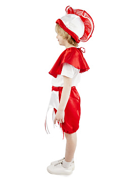 Тропическая рыбка мальчик (головной убор, накидка, шорты) – портал поставщиков НСППО - 2