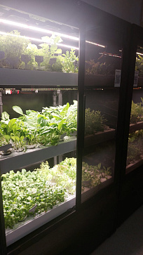 Профессиональная  биолаборатория для агрокласса на программном обеспечении "Виртуальный агроном" Greenbar LUX-35 ПАК – портал поставщиков НСППО - 9