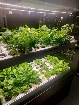 Цифровая биолаборатория GREENBAR LUX-4 ПАК ситиферма для агрокласса   управлением через мобильное приложение – портал поставщиков НСППО - 9