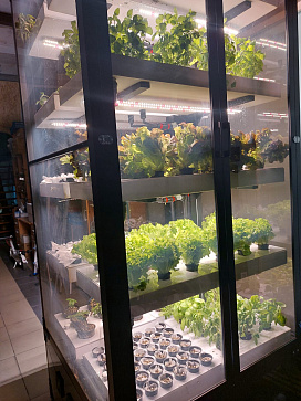 Цифровая биолаборатория PRO-5 - климатическая камера для выращивания зелени и ягод через программное обеспечение "виртуальный агроном" – портал поставщиков НСППО - 9