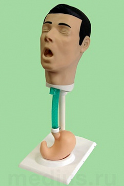 Т16 Тренажер для зондирования и промывания желудка – портал поставщиков НСППО - 1