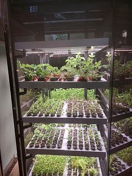 Цифровая биолаборатория PRO-5 - климатическая камера для выращивания зелени и ягод через программное обеспечение "виртуальный агроном" – портал поставщиков НСППО - 3