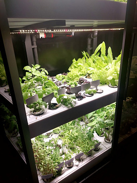 Умная теплица  "Дюймовочка" настольная Greenbar для выращивания цветов, ягод и пряных трав – портал поставщиков НСППО - 9