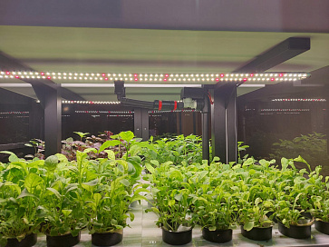 Программно-аппаратный комплекс для выращивания овощей, малины, ежевики высокорослых и  зелени, пряных трав, лекарственных трав и миниовощей на базе программного обеспечения "Виртуальный агроном"  – портал поставщиков НСППО - 4