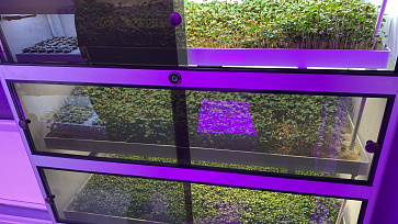 Цифровая биолаборатория Greenbar MZ-4 ПАК для выращивания микрозелени – портал поставщиков НСППО - 6