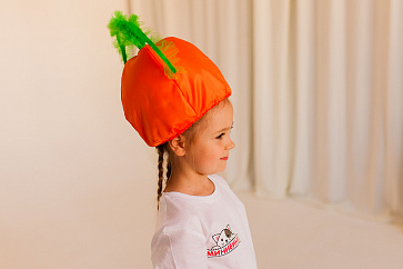 Овощ (шапочка): морковь – портал поставщиков НСППО - 2
