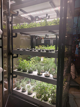 Цифровая биолаборатория GREENBAR LUX-4 ПАК ситиферма для агрокласса   управлением через мобильное приложение – портал поставщиков НСППО - 4