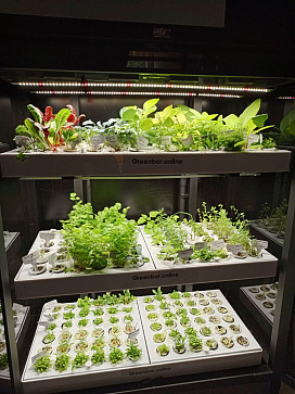 Цифровая биолаборатория LUX-3 ПАК система программирования выращивания растений – портал поставщиков НСППО - 9