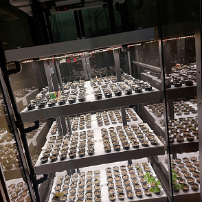 Цифровая биолаборатория PRO-5 - климатическая камера для выращивания зелени и ягод через программное обеспечение "виртуальный агроном" – портал поставщиков НСППО - 7