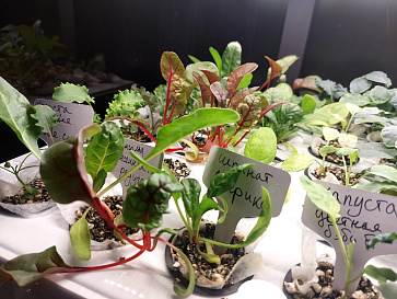 Профессиональная  биолаборатория для агрокласса на программном обеспечении "Виртуальный агроном" Greenbar LUX-35 ПАК – портал поставщиков НСППО - 5