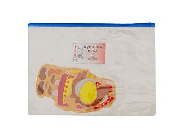 Кукольный театр напольный с декорациями и сказками (теневой и стендовый театр) – портал поставщиков НСППО - 6