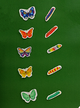 Набор "Бабочки и гусеницы" Малый – портал поставщиков НСППО - 2