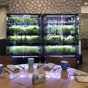 Цифровая биолаборатория LUX-3 ПАК система программирования выращивания растений – портал поставщиков НСППО - 8