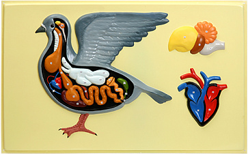 Внутреннее строение голубя (1 планшет, 66х42 см) Х07 – портал поставщиков НСППО - 1