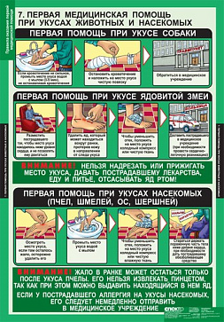 табл.Правила оказания первой медицинской помощи (15 табл. 68*98 см) – портал поставщиков НСППО - 7