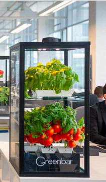 Умная теплица  "Дюймовочка" настольная Greenbar для выращивания цветов, ягод и пряных трав – портал поставщиков НСППО - 2