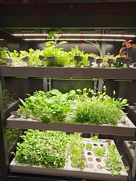 Цифровая биолаборатория (климатическая гидропонная камера) LUX-5 ПАК для выращивания растений через программное обеспечение Виртуальный агроном  – портал поставщиков НСППО - 9