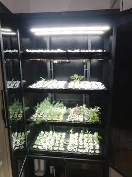 Цифровая биолаборатория GREENBAR LUX-4 ПАК ситиферма для агрокласса   управлением через мобильное приложение – портал поставщиков НСППО - 8