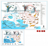 " Эволюция движения позвоночных животных " (1+ 15 шт)  О1 Комплект таблиц