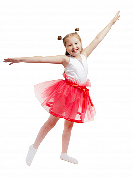 Юбка из евро фатина – портал поставщиков НСППО - 1