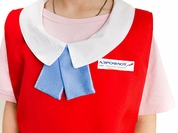 Стюардесса (жилет + пилотка) – портал поставщиков НСППО - 2