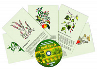 Интерактивный наглядный комплекс «Гербарий «Для начальной школы» – портал поставщиков НСППО