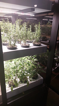 Умная теплица  "Дюймовочка" настольная Greenbar для выращивания цветов, ягод и пряных трав – портал поставщиков НСППО - 8