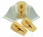 Тренажер наложения швов на рассечения промежности  А03 – портал поставщиков НСППО