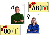 Модель-аппликация "Генетика групп крови" (ламинированная) – портал поставщиков НСППО