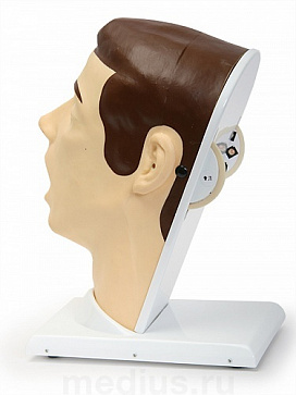 Т14 Тренажер для ЛОРа – портал поставщиков НСППО - 1